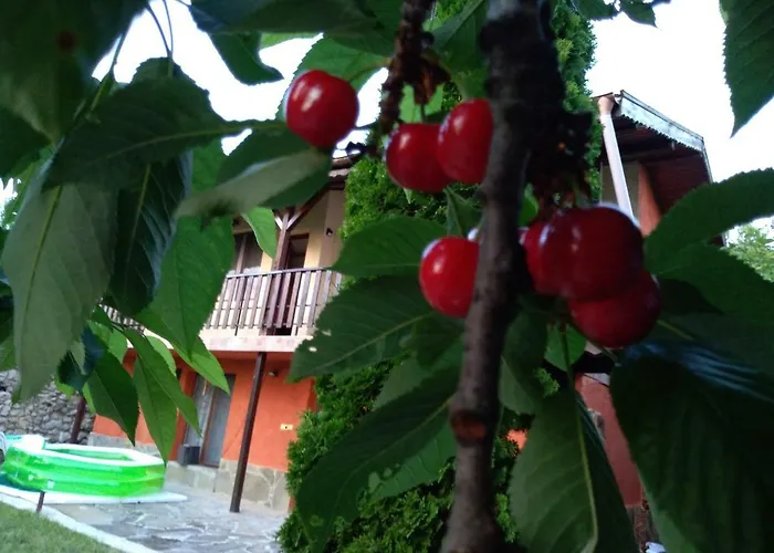 Hébergement de vacances Sunset House